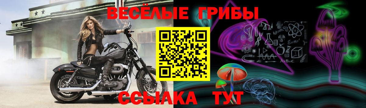 Майский  Псилоцибиновые грибы MAGIC MUSHROOMS  Галлюциногенные грибы Psilocybe  Вход с VPN 